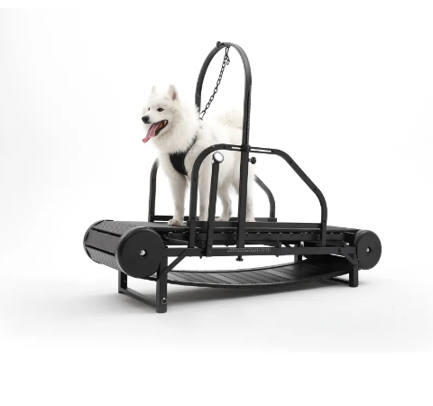 What is the market and target group for Ronzel’s dog treadmill|ronzeil?